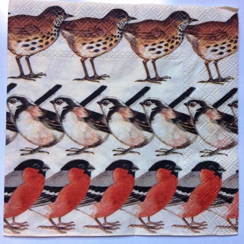 Serviette en papier motif coloré, dessins oiseaux alignés en frise (six différents) 