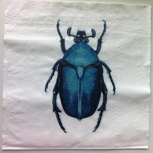Serviette en papier magnifique scarabée bleu sur fond blanc 