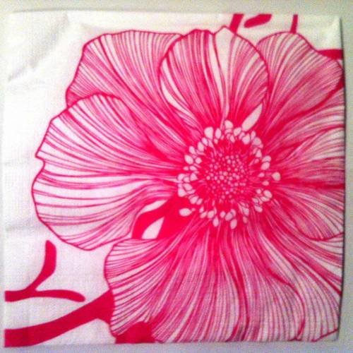 Serviette en papier motif magnifique fleur rose sur fond blanc 