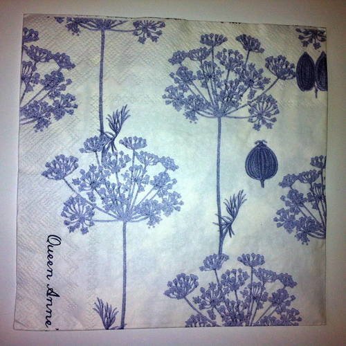 Serviette en papier motif plants de carottes sauvages (queen anne's lace) daucus carota - gris/bleu sur fond blanc 