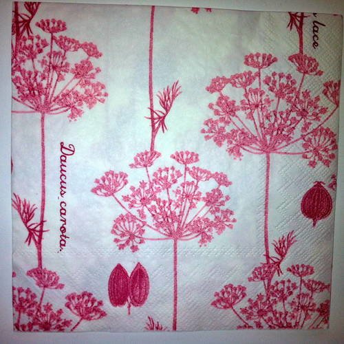 Serviette en papier motif plants de carottes sauvages (queen anne's lace) daucus carota - rose sur fond blanc 