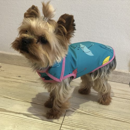 Manteau imperméable pour chien turquoise à motifs parapluies