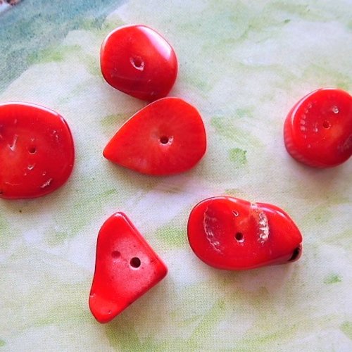 6 perles rondelles véritable corail rouge 13 à 18 mm