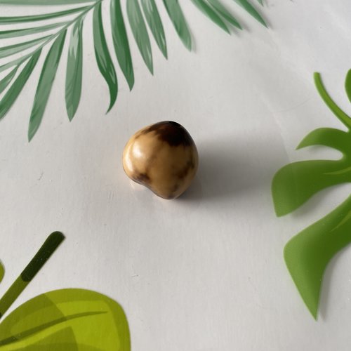 Perle graine kukui forme de coeur provenance arbre bancoulier