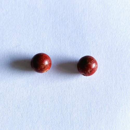 2 perles rondes corail gorgone naturelle 9 mm