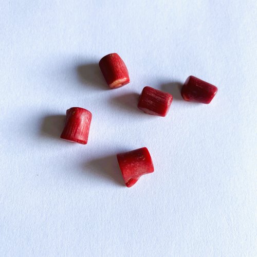 5 perles corail bambou de mer, couleur rouge, tronçons de 11 mm