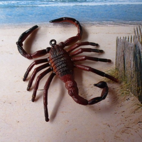 Accessoire pour pendentif scorpion 6 cm