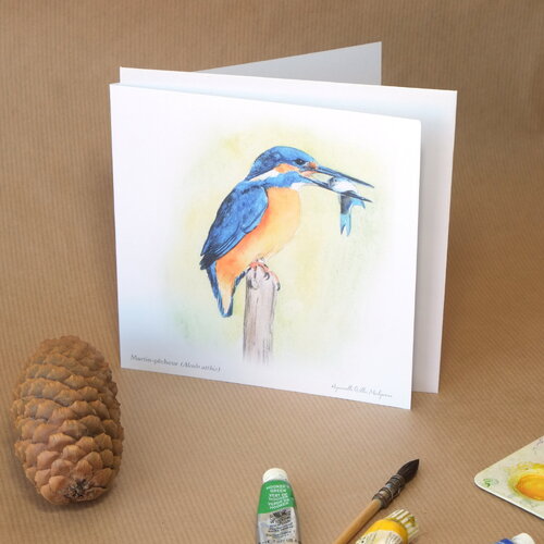 Carte postale double oiseau martin-pêcheur illustrée, avec son enveloppe