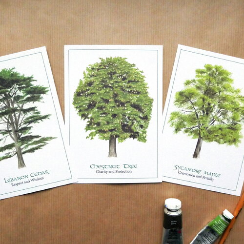 Lot de 3 cartes postales illustrées à l'aquarelle. le langage des arbres, cèdre du liban, marronnier et érable sycomore