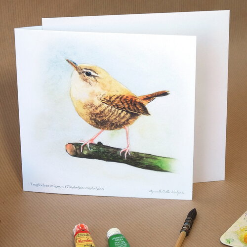 Carte postale double oiseau troglodyte mignon illustrée, avec son enveloppe