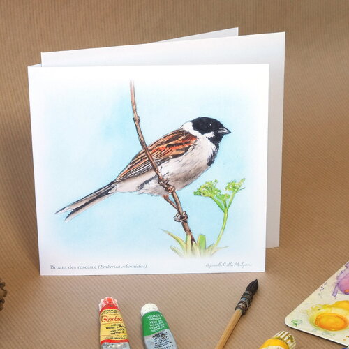 Carte postale double oiseau bruant des roseaux illustrée, avec son enveloppe