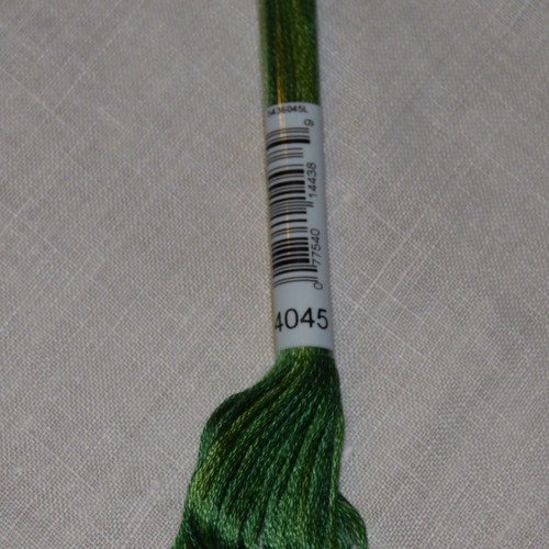 Fil à broder dmc mouliné variation coloris 4045