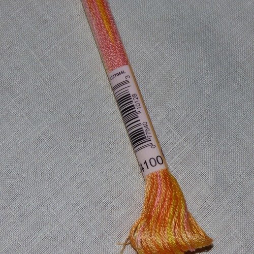 Fil à broder dmc mouliné variation coloris 4100