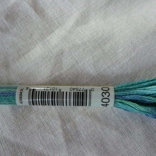 Fil à broder dmc mouliné variation coloris 4030 