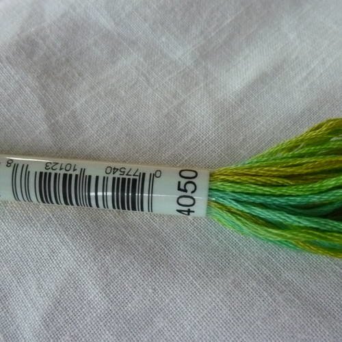Fil à broder dmc mouliné variation coloris 4050 