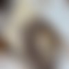 Anse de sac lanières  miyako chataigne