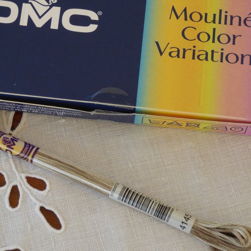 Fil à broder dmc mouliné variation coloris 4145