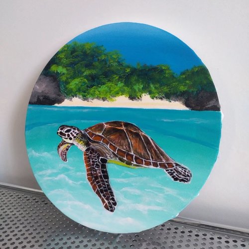 Tortue, peinture