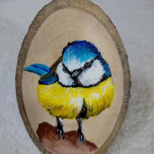 La mésange – messagère de joie ️