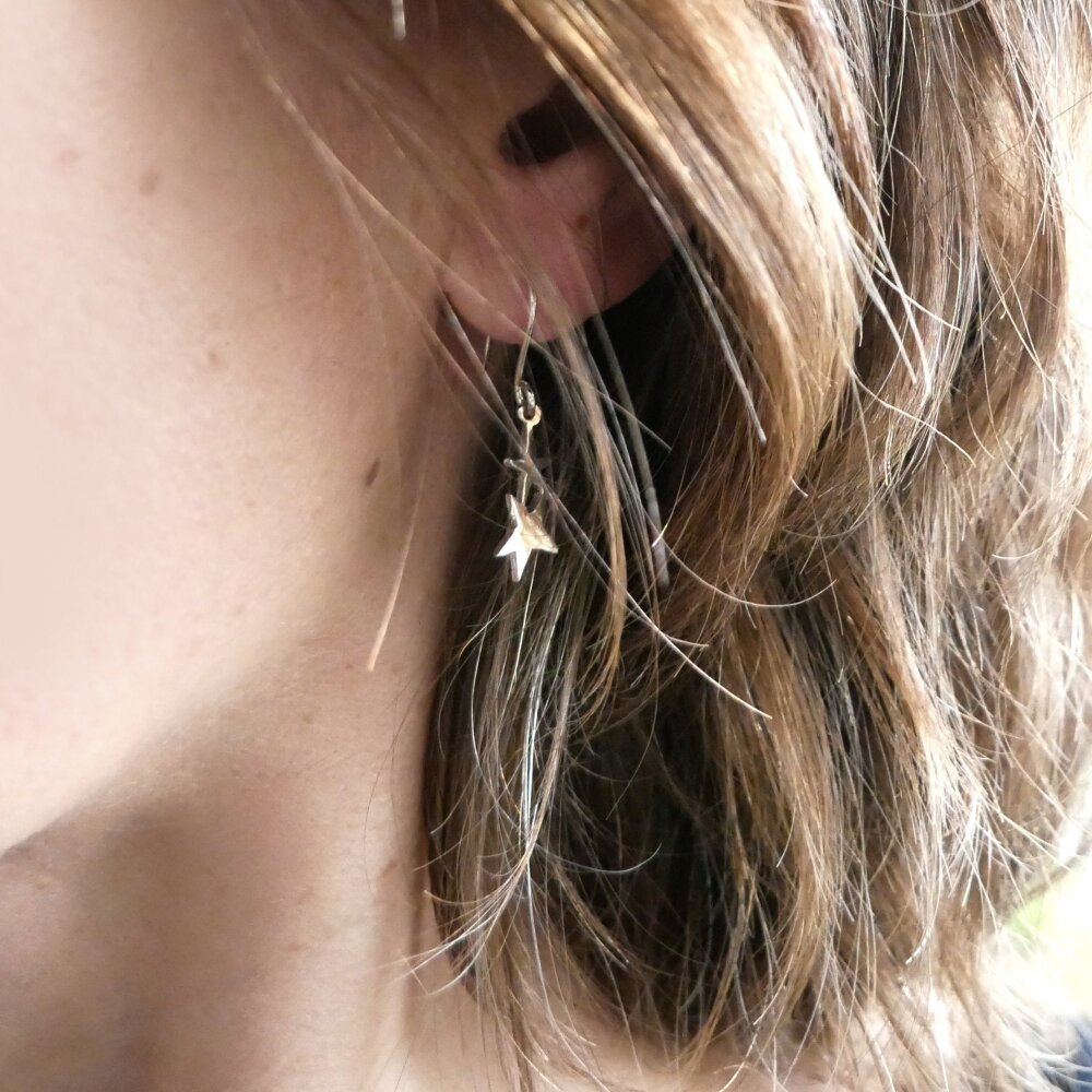 Boucles d'oreilles pendantes étoile Nova en argent 925 Nova Desiree