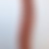 Gorgone naturelle vernis