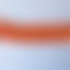 Coquillage orange
