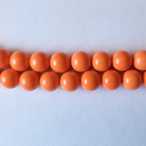 Coquillage orange