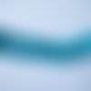 Coquillage bleu