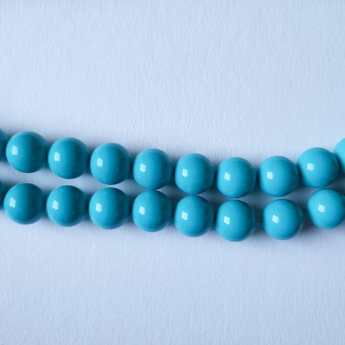 Coquillage bleu