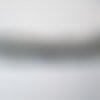 Oeil de faucon