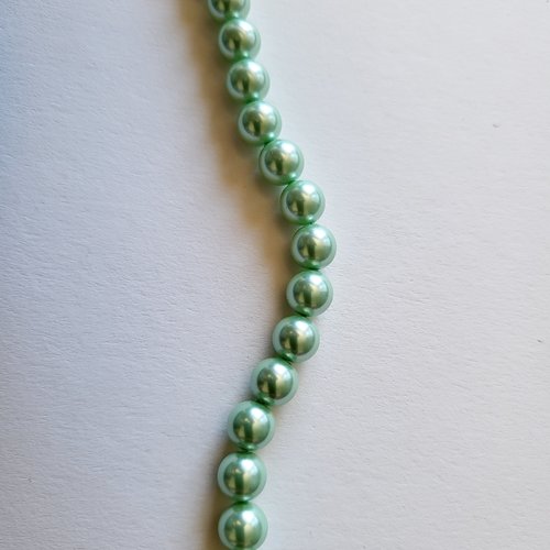 Coquillage vert du pacifique