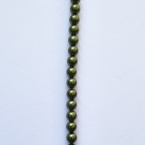 Coquillage du pacifique military