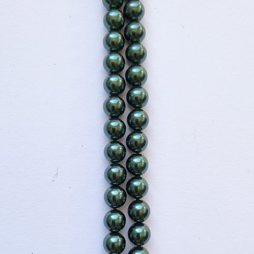 Coquillage du pacifique eclipse