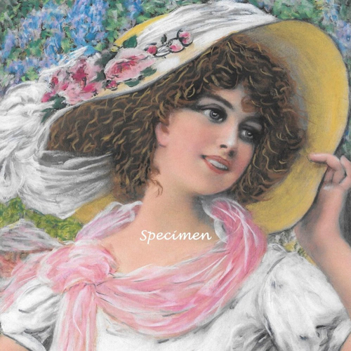 Constance - tableau portrait femme romantique pastel sec