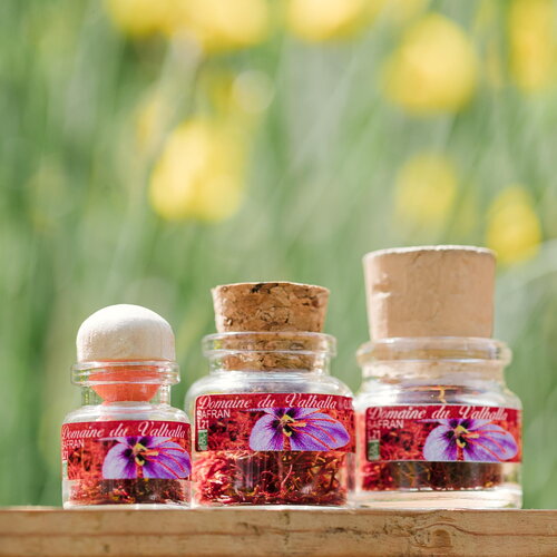 Safran bio français – épice artisanale de haute qualité, cultivée à la main – idéale pour cuisine, cosmétique et cadeaux