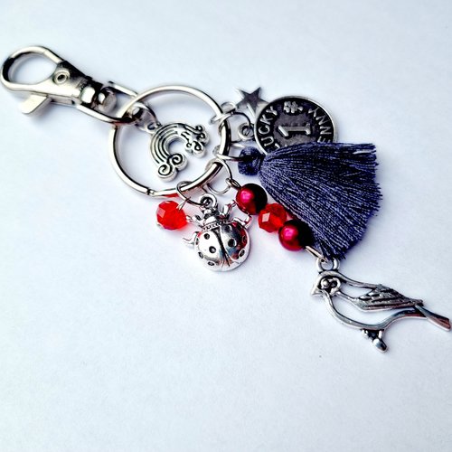 Porte clés oiseau étoile coccinelle rouge et carte porte-bonheur