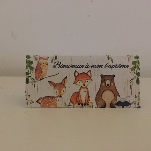 Décoration animaux de la forêt en carton grand format