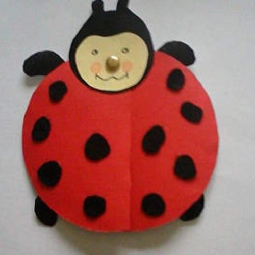 Faire part coccinelles rouge et noir lot de 10