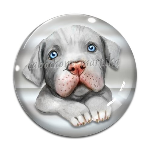 Cabochon chien, résine ou verre, plusieurs tailles