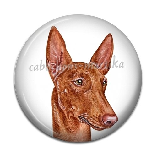 Cabochon chien, cabochon résine ou verre, plusieurs tailles