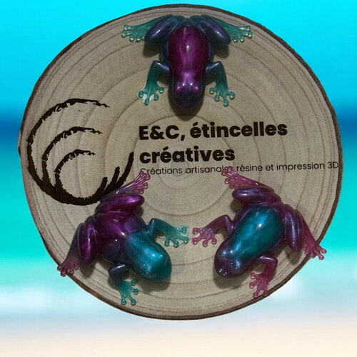 Grenouille deux couleurs