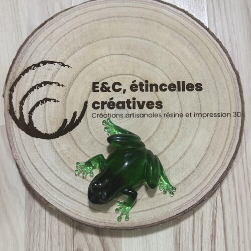 Grenouille verte et noir