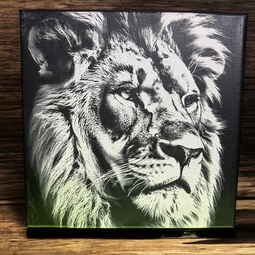 Toile gravée lion