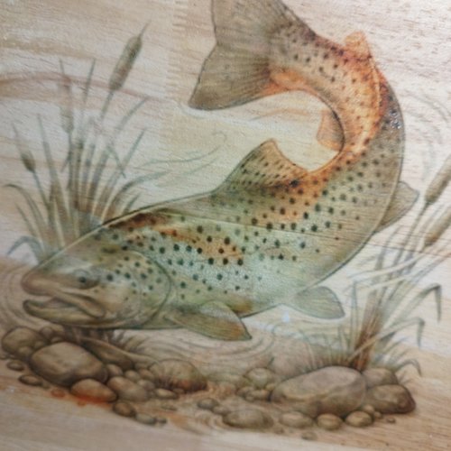 Plateau en bois forme libre motif truite rivière — 30 x 22,5 cm plateau de service en bois à la forme originale, illustré d'une truite