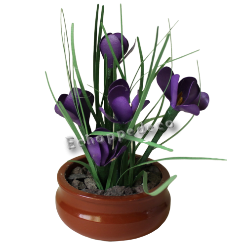Composition florale  de 5 crocus violet