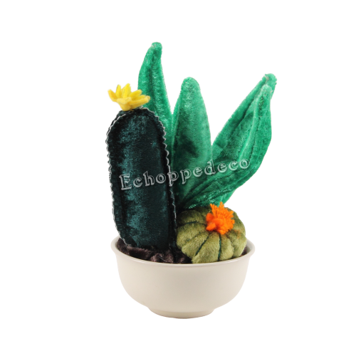 Composition florale  " 3 cactus"