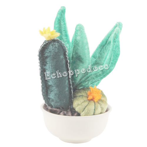 Composition florale 3 cactus