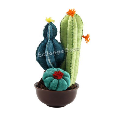 Composition florale  " 3 cactus "