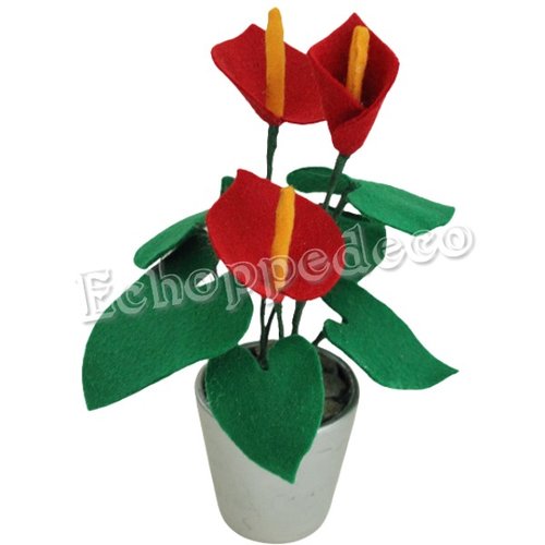 Plante en pot  " anthurium rouge "