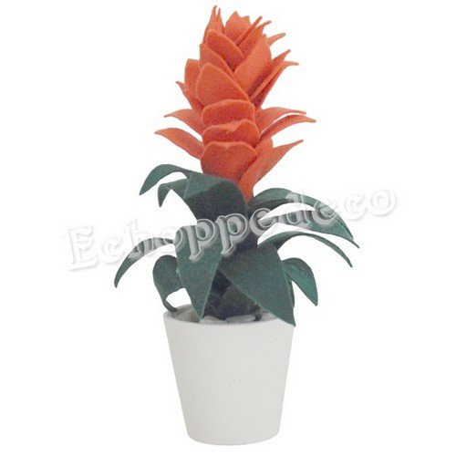 Pot " guzmania  orange "